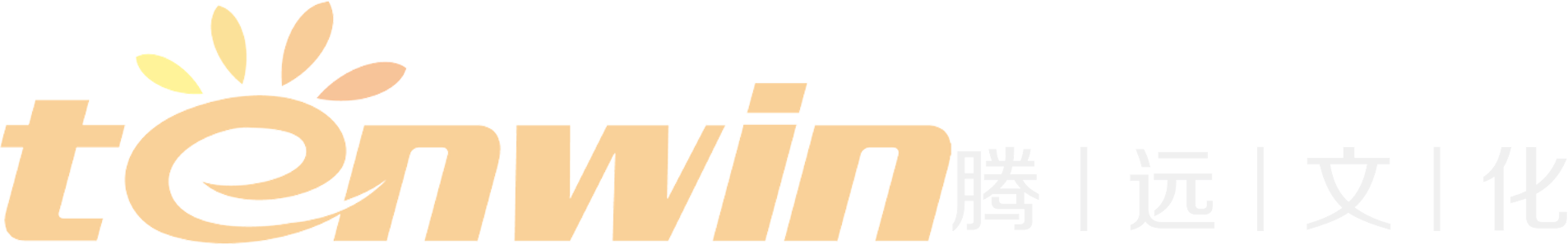 PP电子科技愿景