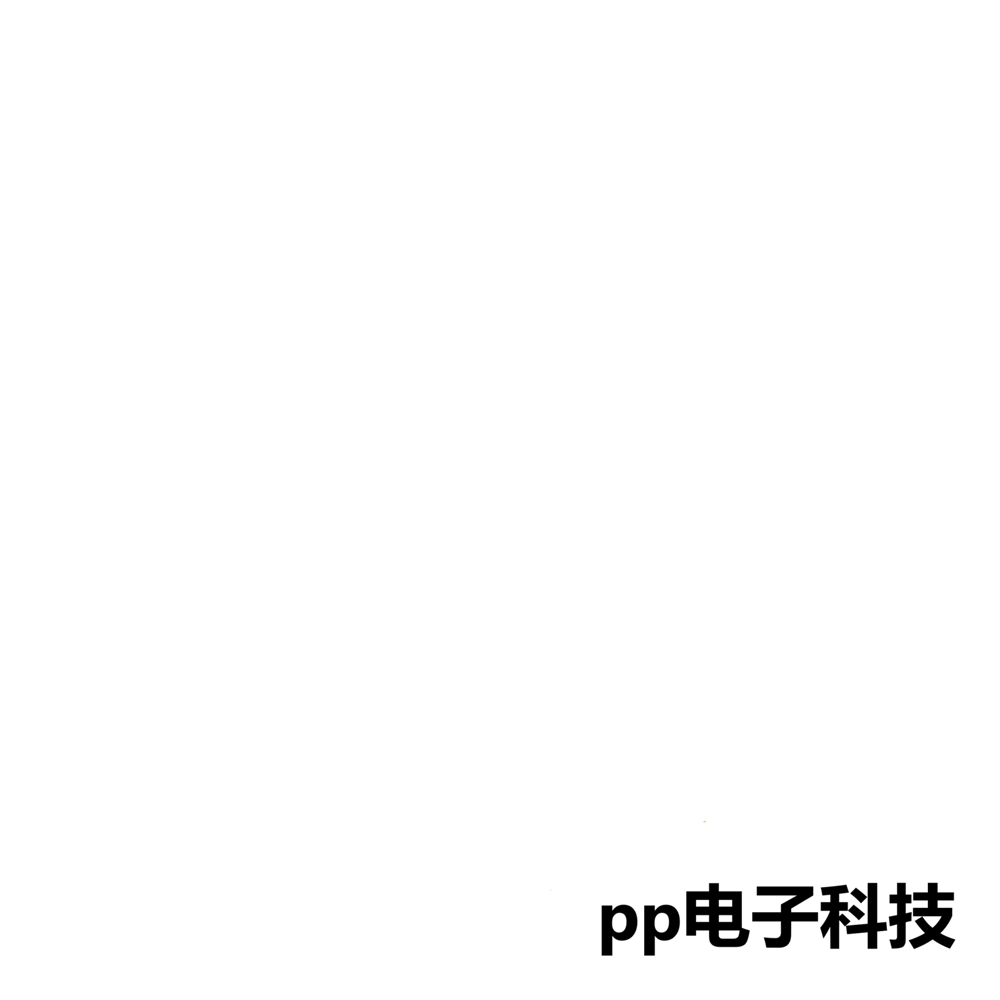 PP电子授时服务