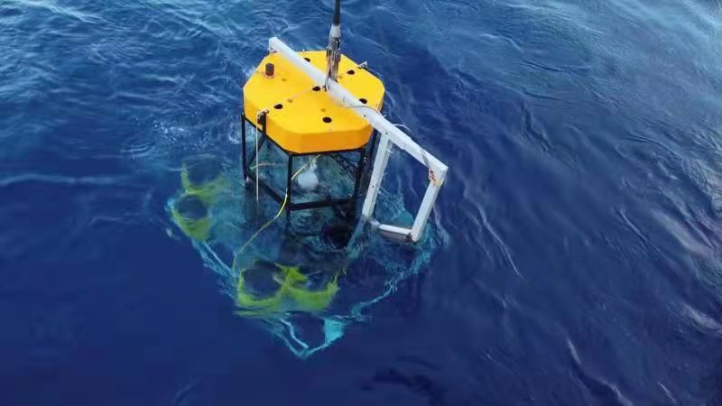 科学网—海底捞“针”